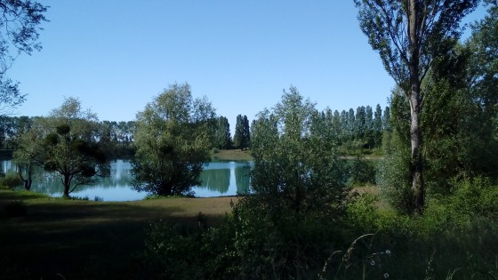 Étang