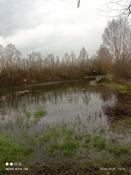 etang