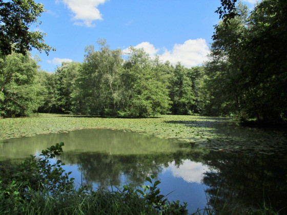 Etang