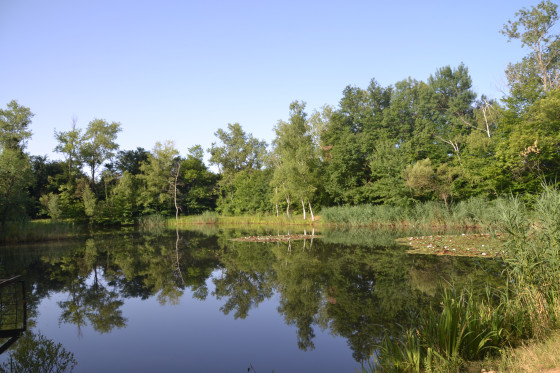 Etang