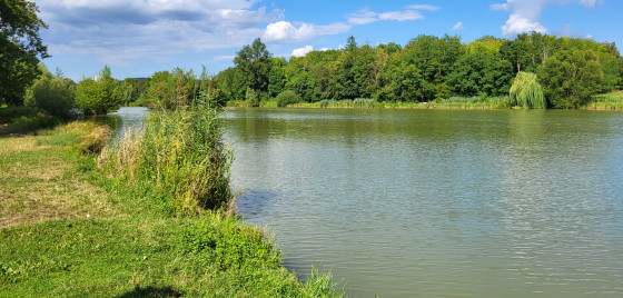 Etang