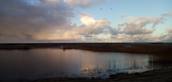 Étang