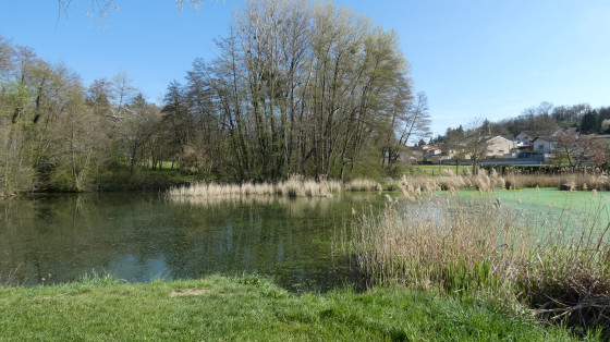 Etang