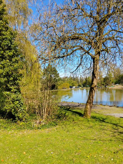 etang