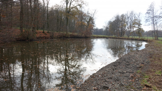 Etang