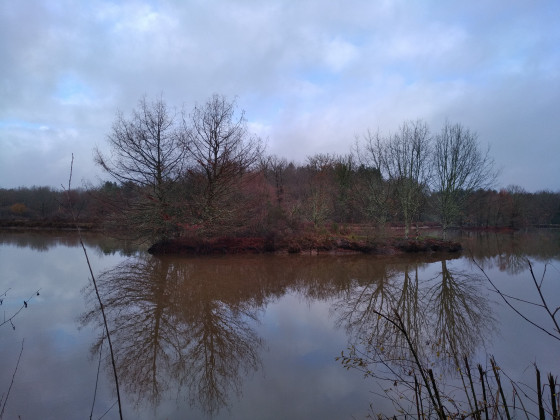 Etang