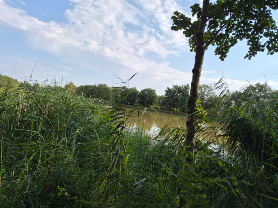 Etang