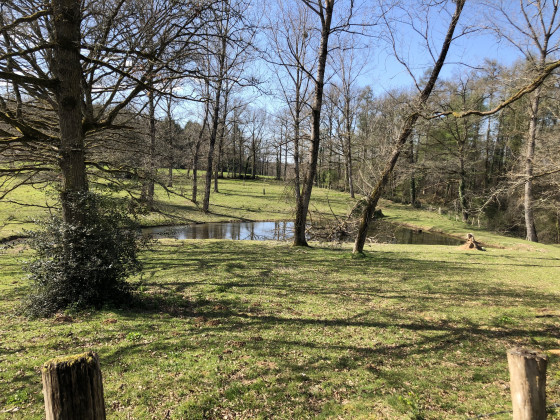 Etang