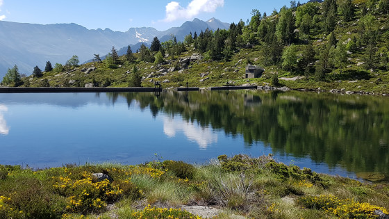 Etangs de Bassiès