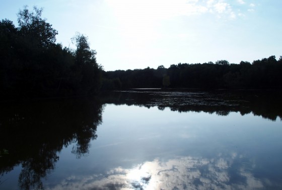 Etangs de Bonnevaux