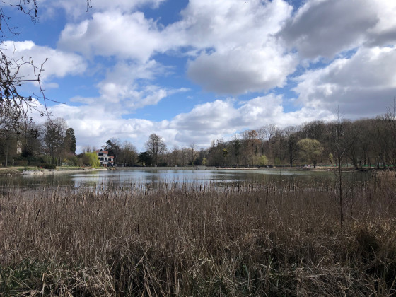 &Eacute;tangs de Corot &agrave; Ville d'Avray : le Vieil-&Eacute;tang