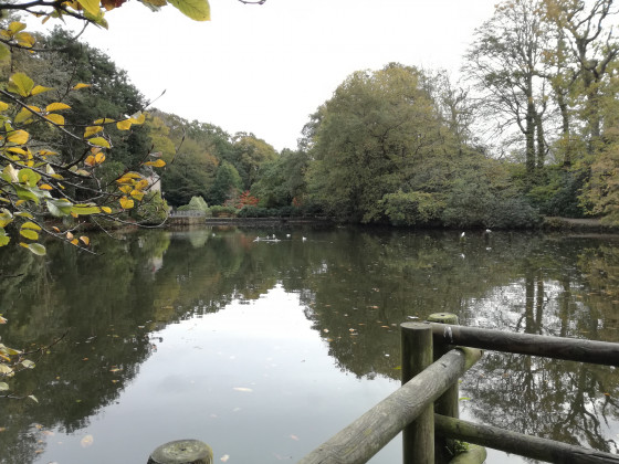 Etangs de Keroual