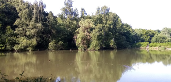 Étangs de Montbron