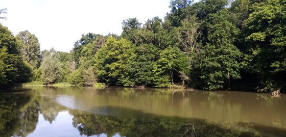 Étangs de Montbron