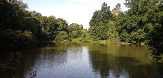 Étangs de Montbrond