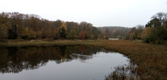 Étangs de Ville d\'Avray Étangs de Ville d\'Avray