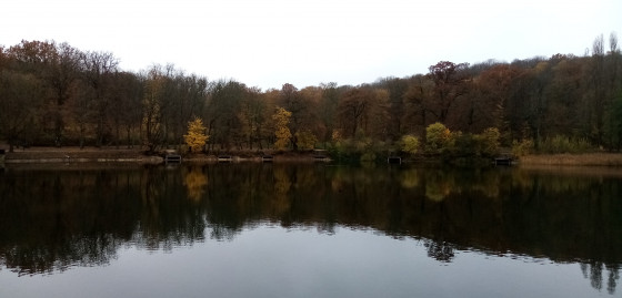 Étangs de Ville-d\'Avray Étangs de Ville-d\'Avray