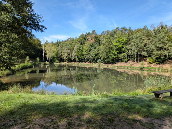 Etangs des cailloux