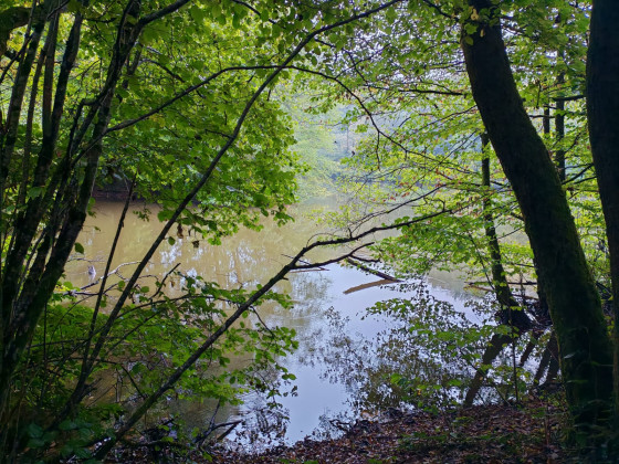 Etangs