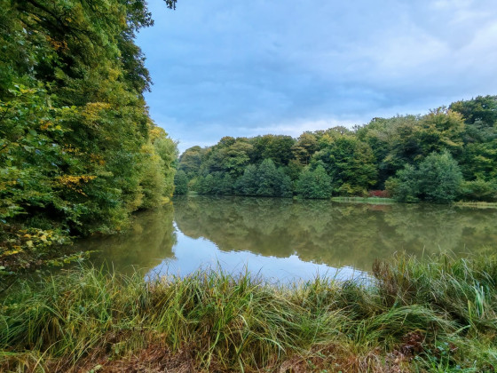 Etangs