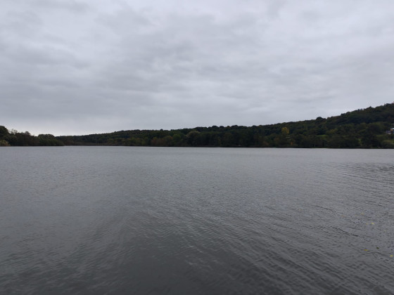 Etangs