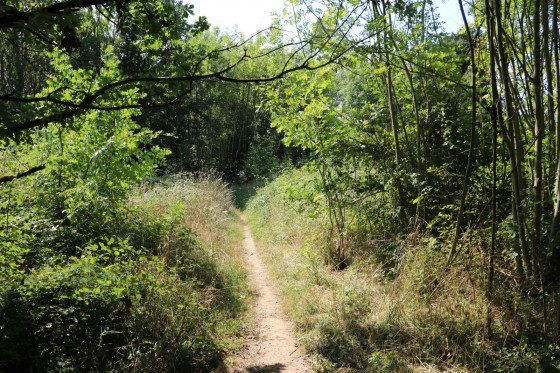 Etroit sentier pour revenir à Pied l'Ouaille