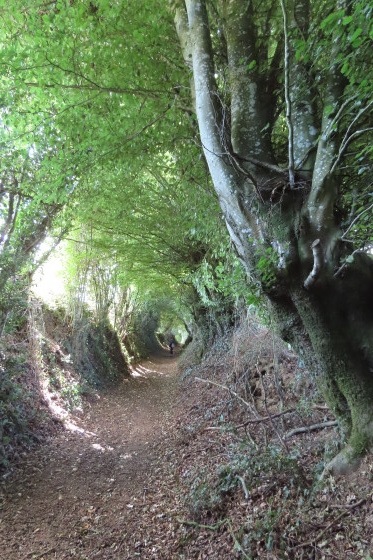 exemple de chemin creux parcouru