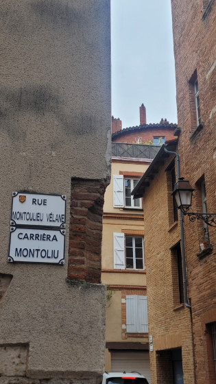 Extr&eacute;mit&eacute; sup&eacute;rieure de la tour de Ress&eacute;guier