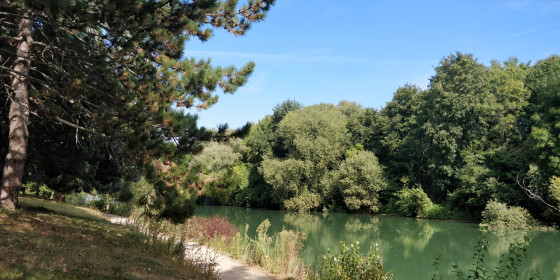 Face à l\'île de Pissevinaigre