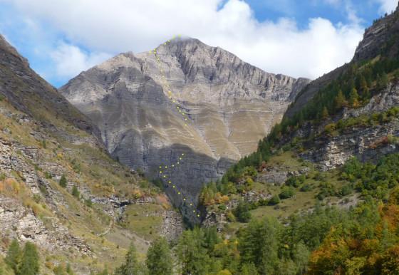 Face au menu de jour