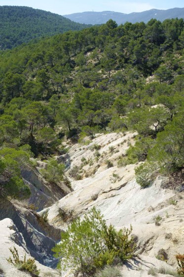 Face au ravin des 3 collets Face au ravin des 3 collets