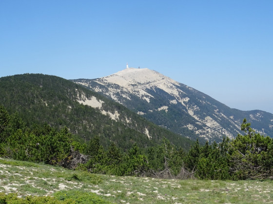 Face Nord et sommet du Mont Ventoux