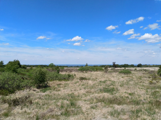 Fagnes de Malchamps
