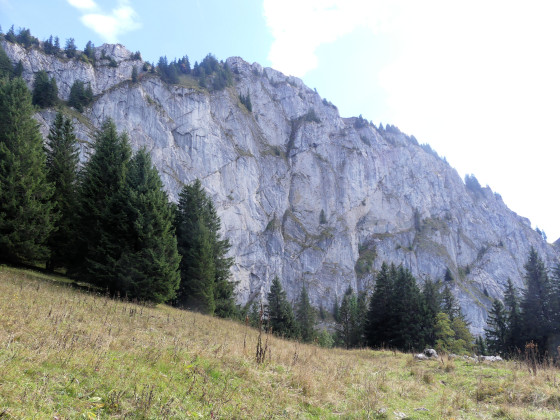 Falaise de Chavannais