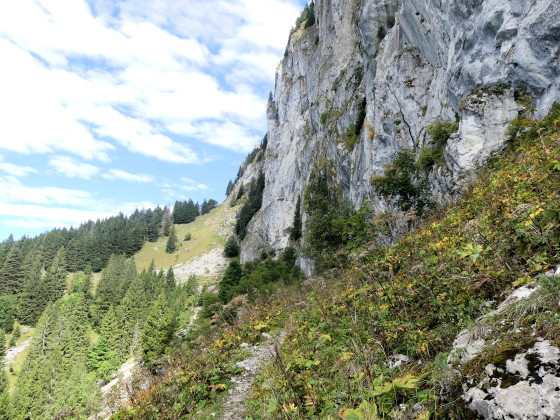 Falaise de Chavannais