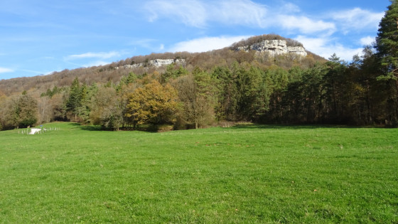 Falaise de Narpent