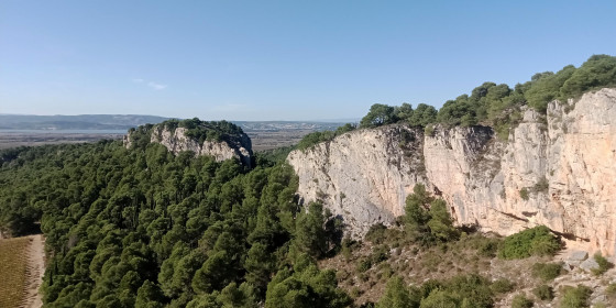 Falaise de plan vigné