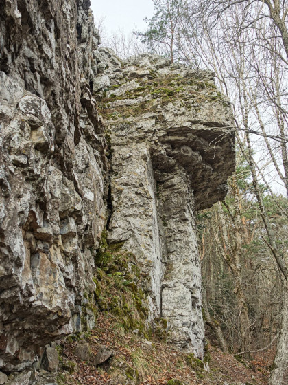 Falaise du Rocher Siéroux