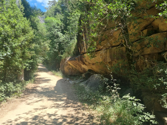 Falaise sur la route forestière