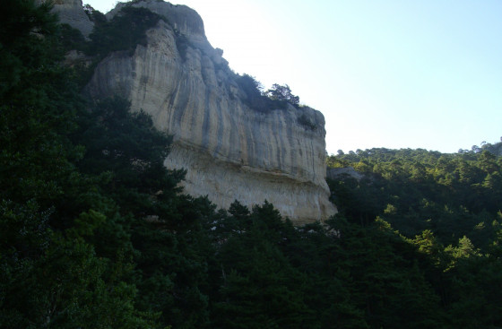 Falaise