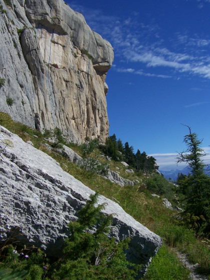 Falaise