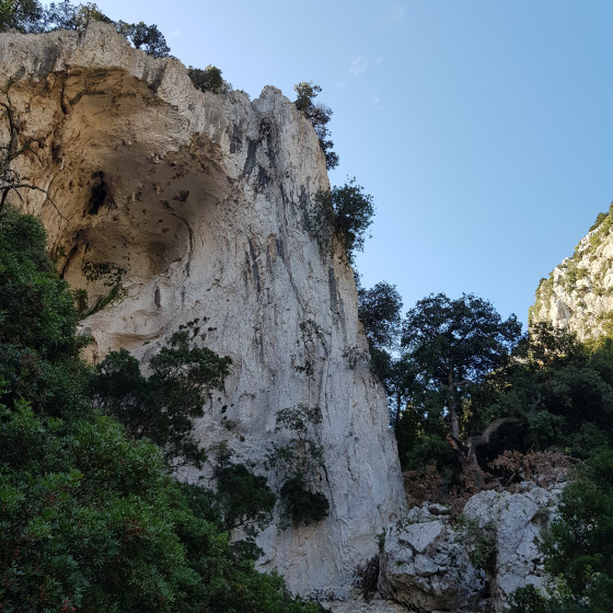 Falaise