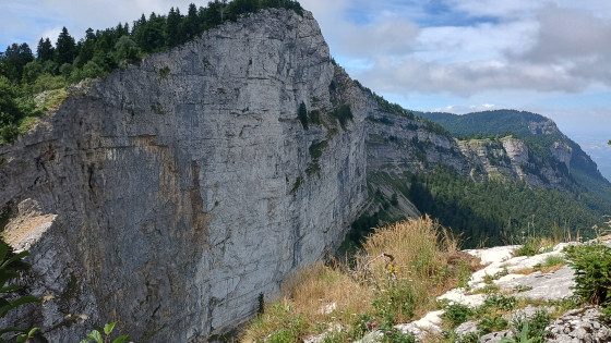 Falaise