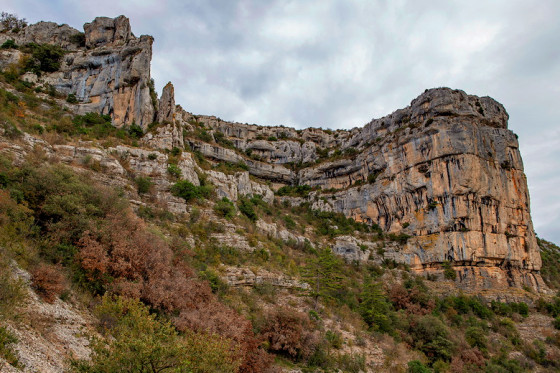 Falaise