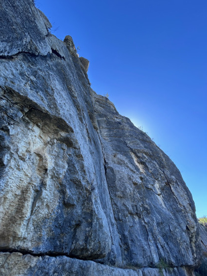 Falaise