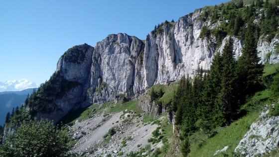 Falaises