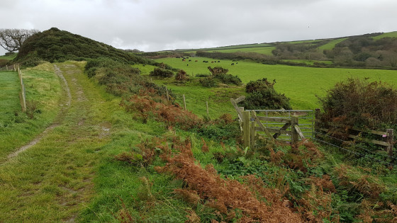 terres agricoles depuis le chemin