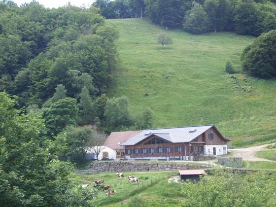 Ferme auberge du Lochberg