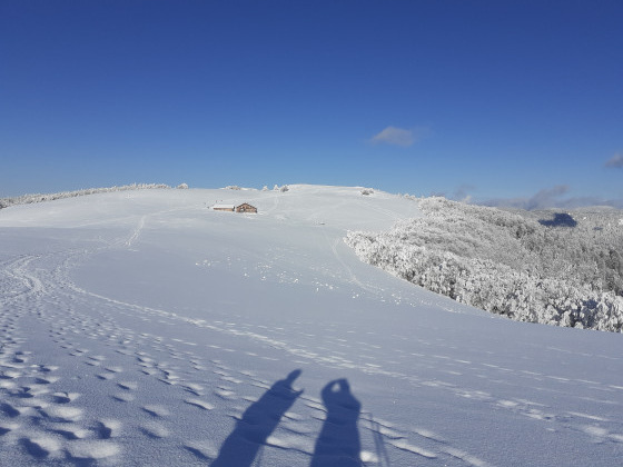 Ferme auberge du Wissgrut