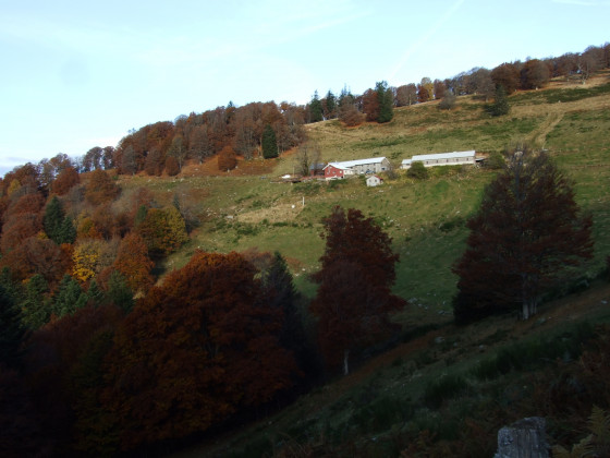 Ferme auberge